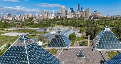 Edmonton International Fringe Festival crowd